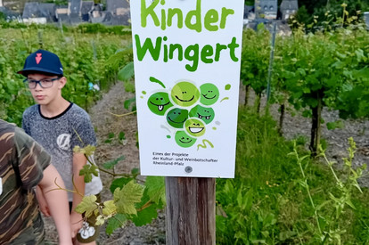 Besuch des Kinderweinbergs vom Weingut Storck in Traben-Trarbach